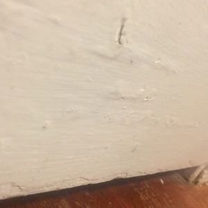 Meet your Posher, Dashawn